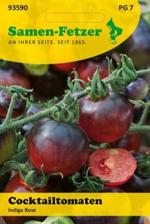 Tomate Indigo Rose