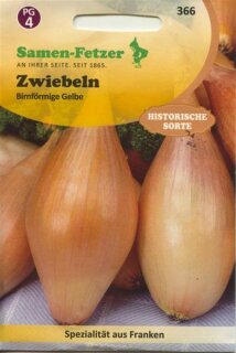 Zwiebelsamen Birnenförmige Gelbe