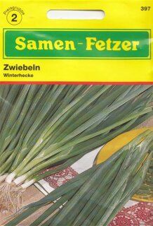 Zwiebelsamen Winterhecke