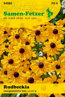 Rudbeckia Toto Zwergsonnenhut