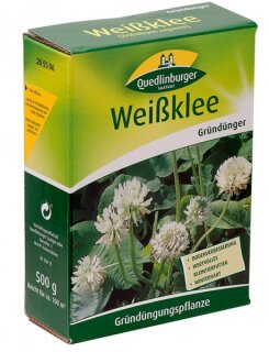 Weißklee