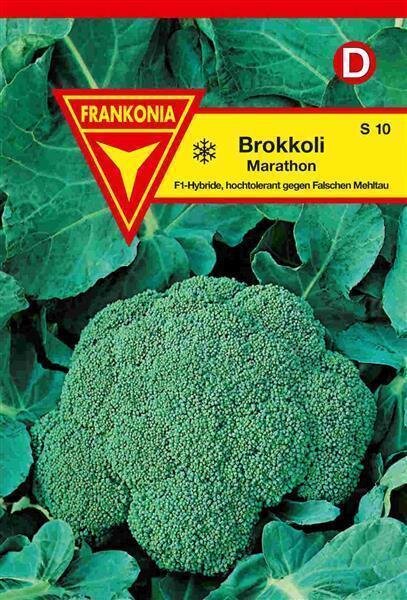 Brokkoli ' Calabrese natalino '   Kohl Gemüse Saatgut 412855