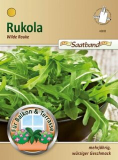 Rukola Wilde Rauke Saatbband