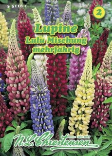 Lupine Minarette Mischung