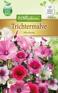 Trichtermalve Mischung