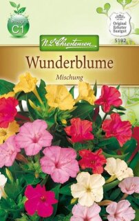 Wunderblume Mischung