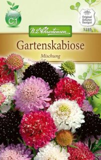 Gartenscabiose Mischung