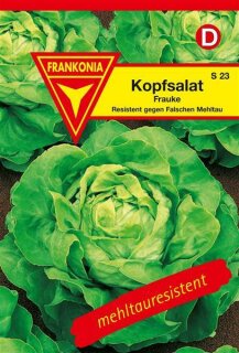 Kopfsalat Frauke Frankonia Samen