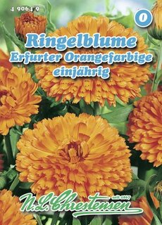 490649 Ringelblume`Èrfurter Orangefarbige`einjährig Calendula offcinalis Saatgut 