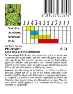 Pflücksalat Eichblatt gelb