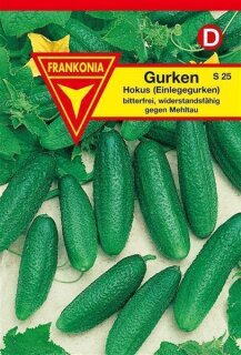 Gurken Hokus Frankonia Samen