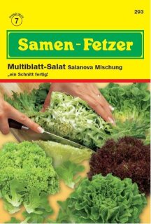 Blattsalat Salanova Mischung