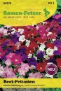 Beet-Petunien Poncho Mischung F1