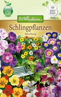 Schlingpflanzen Mischung