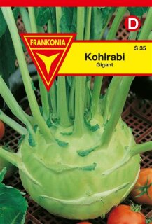 Kohlrabi Gigant Frankonia Samen