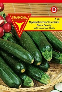Zucchini Black Beauty Frankonia Samen