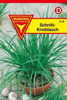 Schnitt-Knoblauch Frankonia Samen
