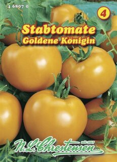 Stabtomate Goldene Königin
