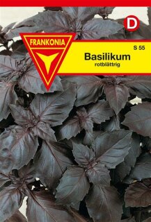 Basilikum rotbl&auml;ttrig Frankonia Samen