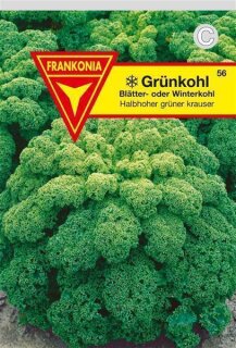 Gr&uuml;nkohl halbhoher Frankonia Samen