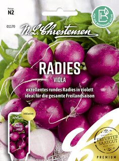 Samen 01170 exzellentes rundes Radies in violett Radies Viola 