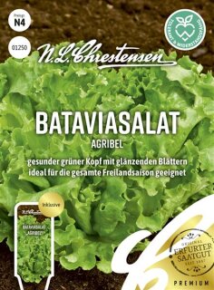 Bataviasalat Agribel