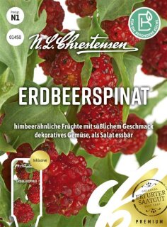 Erdbeerspinat