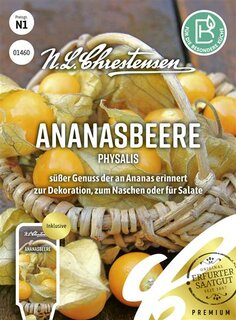 Ananasbeere Physalis