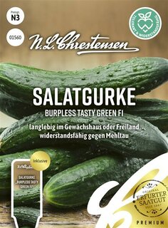 Salatgurke Burpless Tasty Green F1