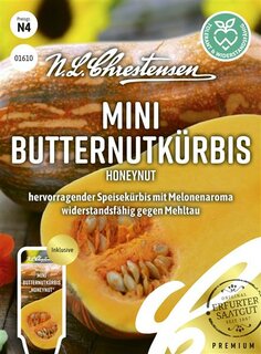 Mini Butternutk&uuml;rbis Honeynut