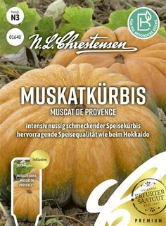 Muskatk&uuml;rbis Muscat de Provence