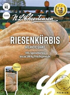 Riesenk&uuml;rbis Atlantic Giant
