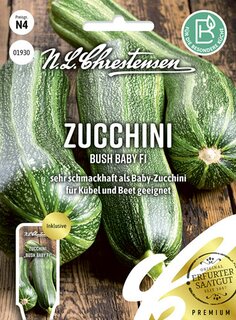 Zucchini Bush Baby F1