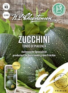 Zucchini Tondo di Piacenza