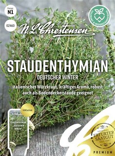 Staudenthymian Deutscher Winter