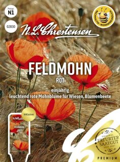 Feldmohn Rot