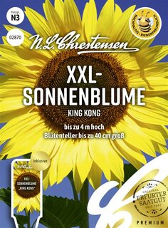 Sonnenblume-XXL King Kong
