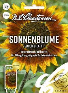 Sonnenblume Shock-o-lat F1