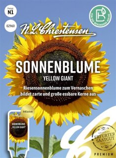 Sonnenblume Yellow Giant