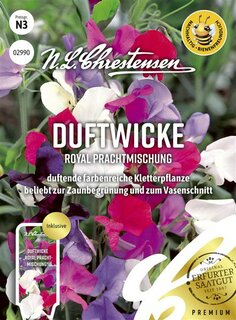 Duftwicke Royal Prachtmischung