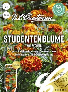 Studentenblume Honeycomb