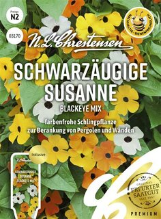 Schwarzäugige Susanne Blackeye Mix