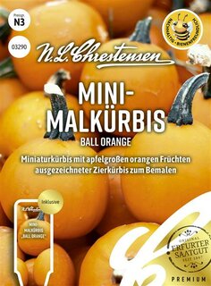 Mini Malk&uuml;rbis Ball Orange