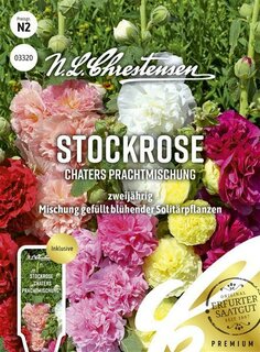Stockrose Chaters Prachtmischung