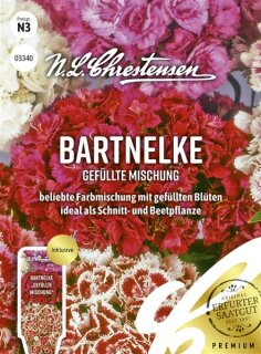 Bartnelke Gefüllte Mischung