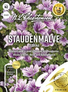 Stauden-Malve Zebrina