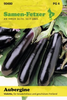 Aubergine Violetta