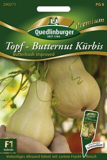 Topf-Butternut K&uuml;rbis Butterbush improved
