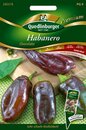 Chili Habanero Chocolate