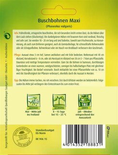 Buschbohne Maxi